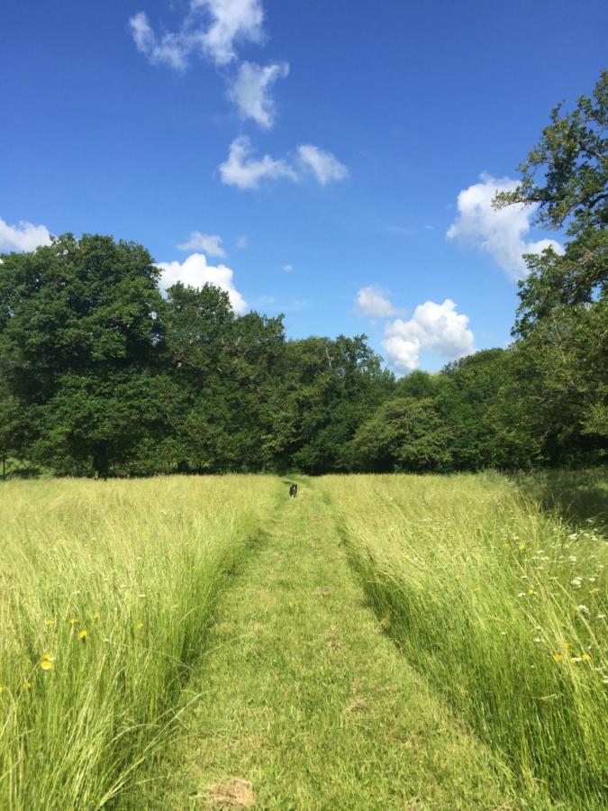 Le Gite Du Petit Renard: A Tranquil Gite With Pool Oradour-Saint-Genest Luaran gambar